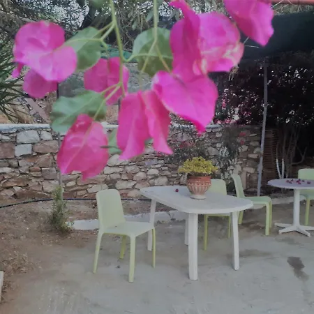 Holiday House