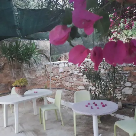 Holiday House Galissas